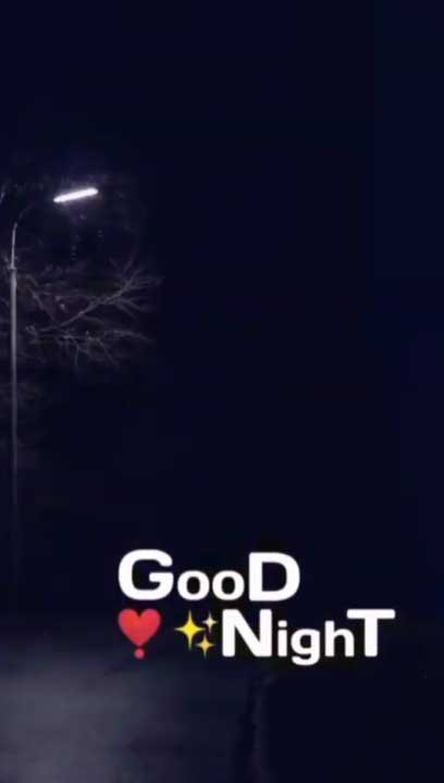 321+ Top Good Night Video Download for Whatsapp Status Night
